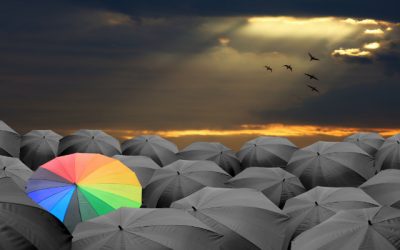 Avvocati tra l’etica professionale e il business SDL Centrostudi