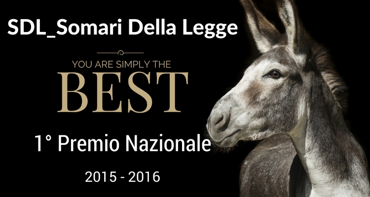 Mantova, Lite Temeraria ed è ancora di SDL Centrostudi!