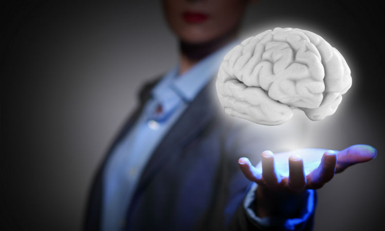 D.E.C.I.Ba & Gaetano Vilnò verso sosdifesalegalita.it D.E.C.I.Ba & Gaetano Vilnò verso sosdifesalegalita.it