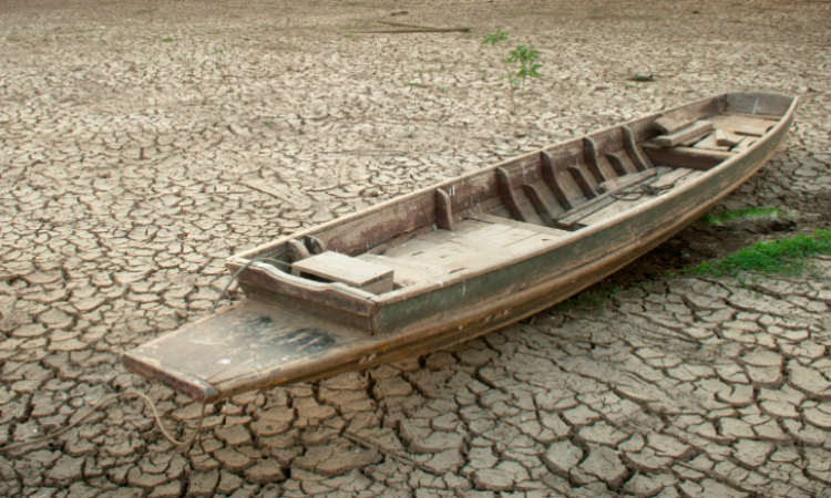 SDL Centrostudi: le opinioni dei lavoratori. Parte 2°